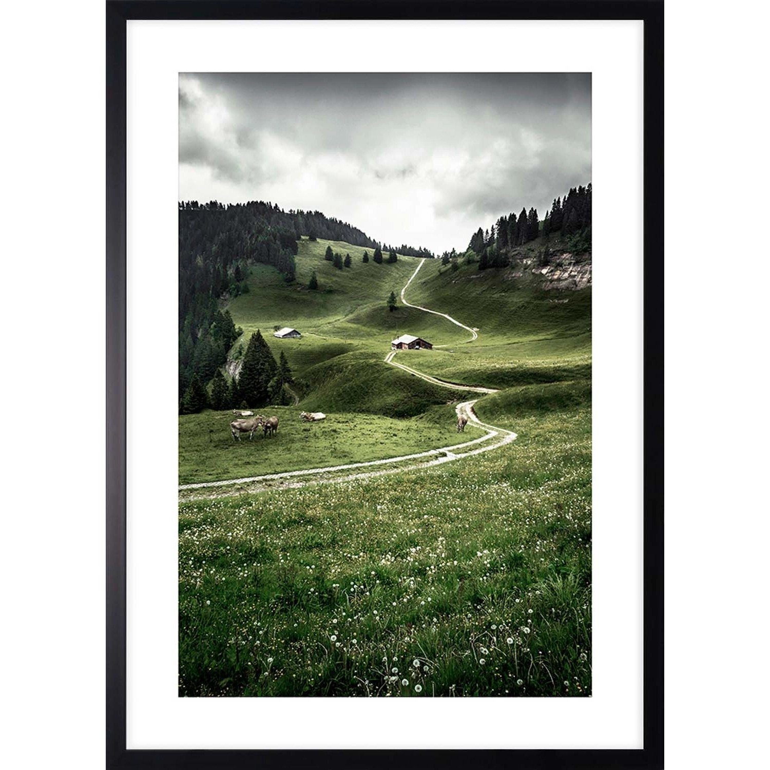 ARS LONGA Obraz PATH IN THE VALLEY 53 x 73 cm