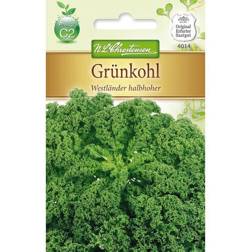 1 ob, Kapusta kadeřavá Westlander halbhoher - : Monžstvo balíkov: 1 ob