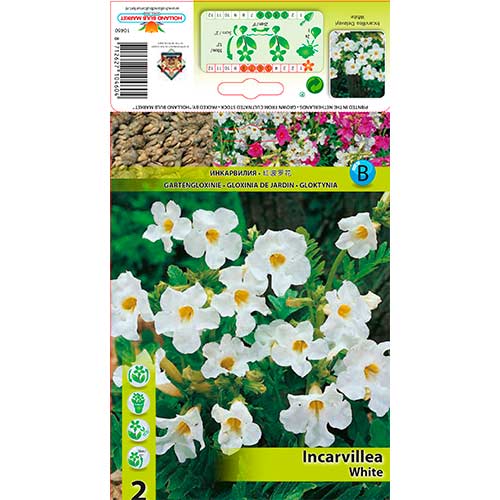 2 cib, Gloxinie zahradní bílá - : Monžstvo balíkov: 2 cib