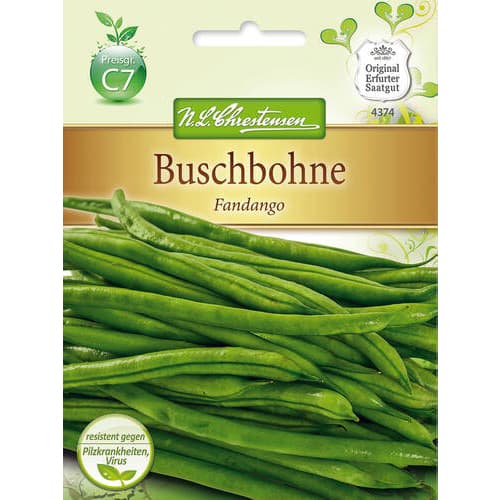 1 szt, Buschbohne Fandango - Samen: Ilość w opakowaniu: 1 Stück