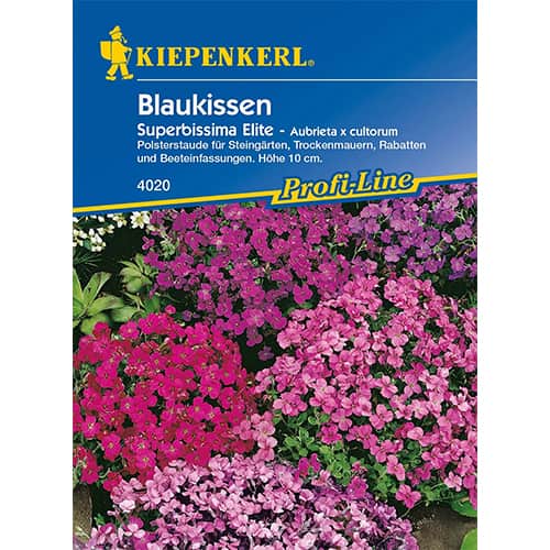 1 szt, Blaukissen Superbissima Elite - Samen: Ilość w opakowaniu: 1 Stück