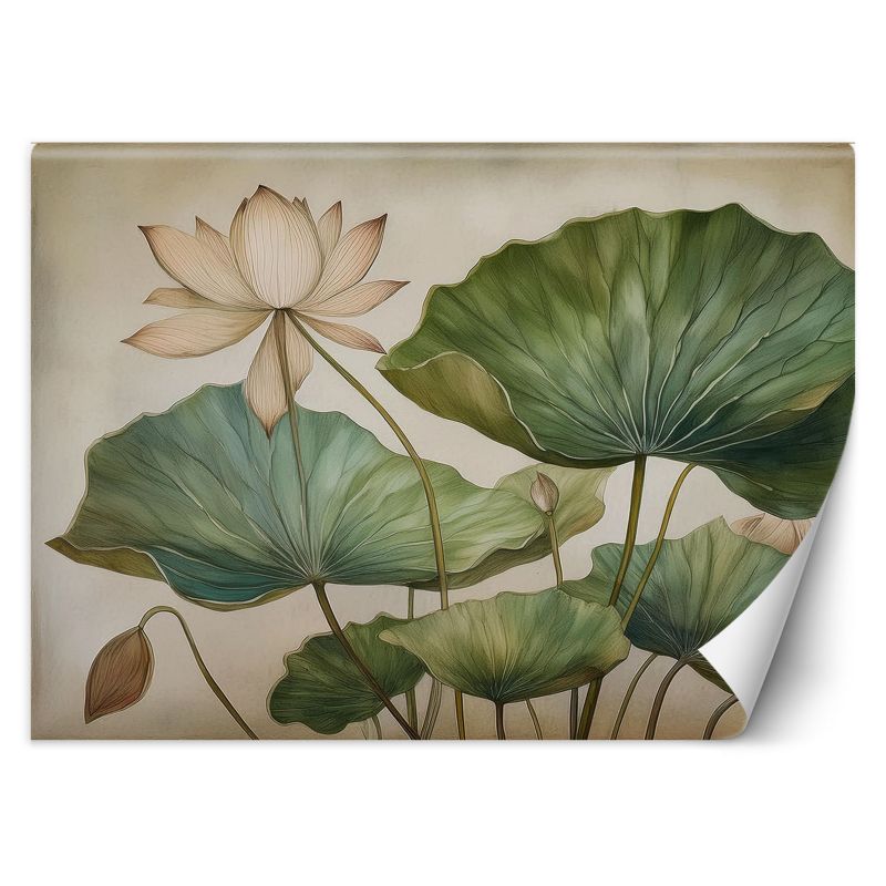 Fototapeta Feeby Liście Lilie Rośliny 350x245 1 szt