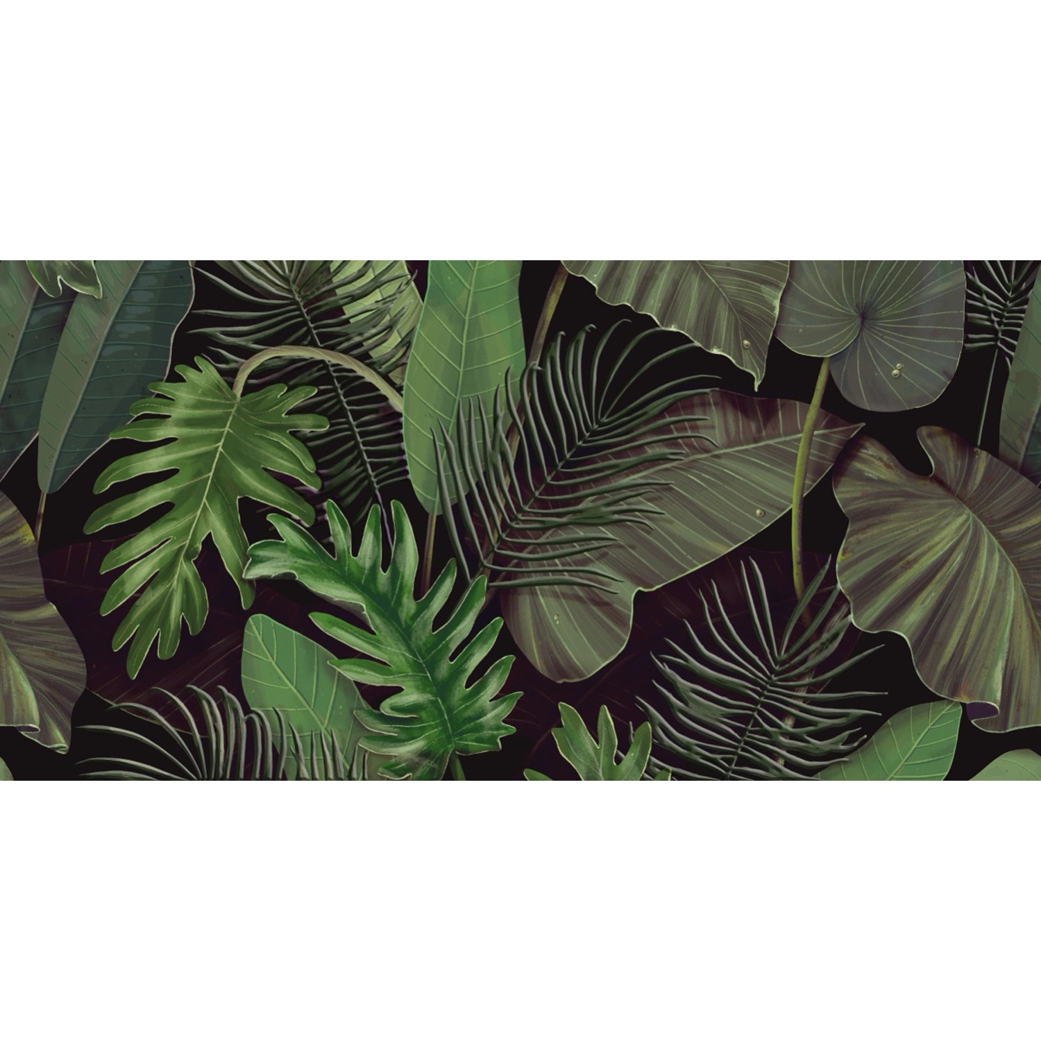 Dekor Botanic Green B 30 x 60 cm