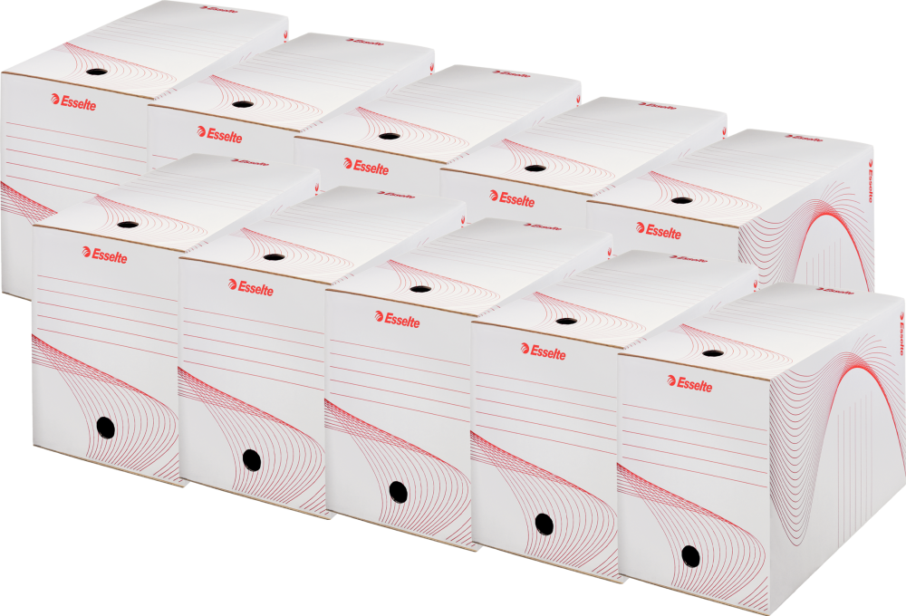 10x Pudło archiwizacyjne Esselte Standard, 200 mm, biały