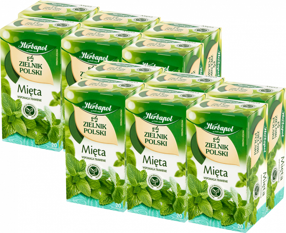 12x herbata ziołowa w torebkach Herbapol Zielnik Polski, mięta, 20 sztuk x 2g