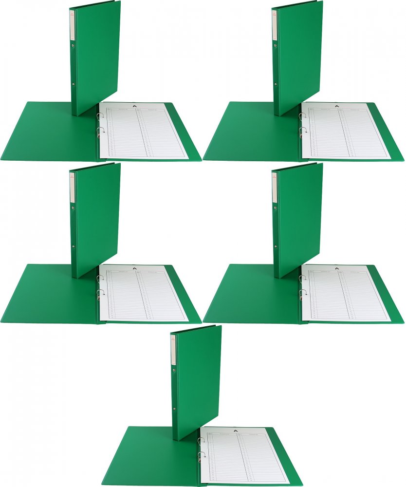 5x Teczka Biurfol, do akt osobowych, A4, 20mm, 2 ringi, zielony