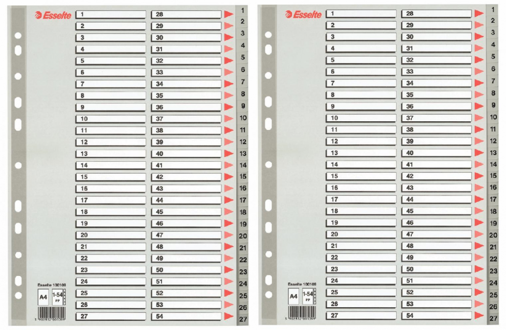 2x Przekładki do segregatora Esselte, plastikowe, numeryczne, A4, 1-54 kart, szary