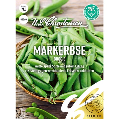 1 szt, Markerbse Boogie - Samen: Ilość w opakowaniu: 1 Stück