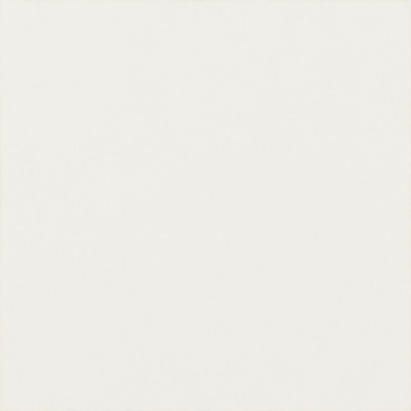 Paradyż Modern dekor ścienno-podłogowy 4,8x4,8 cm biały