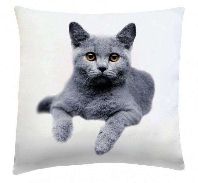 Poduszka dekoracyjna 40x40 wz. Kot