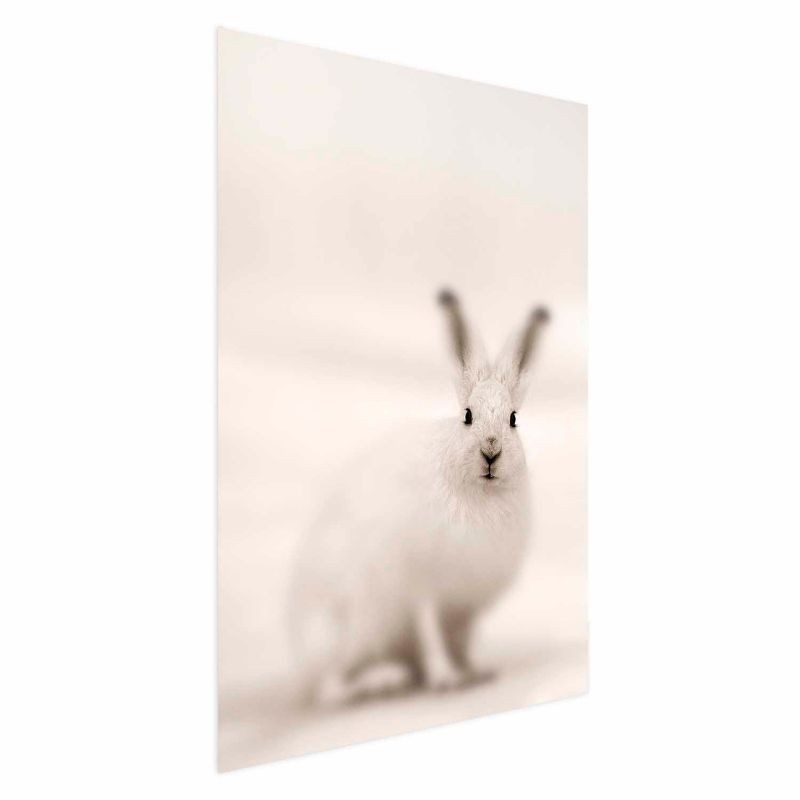 Plakat Artgeist Strachliwe spojrzenie 60x90 cm bez ramy 1 szt