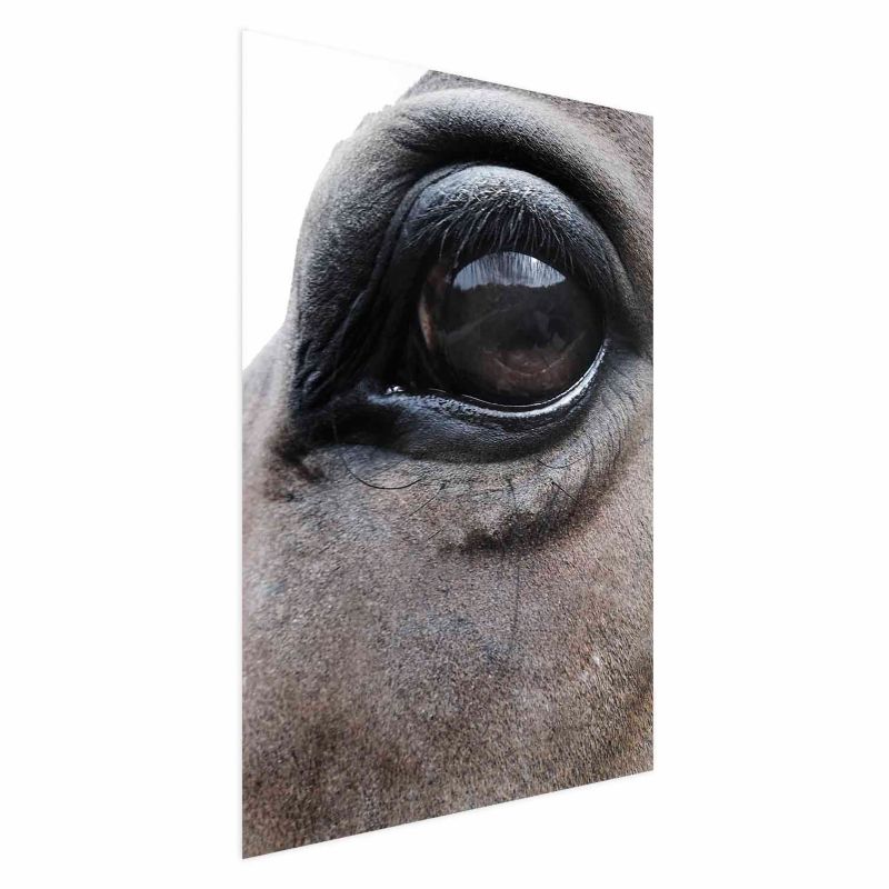 Plakat Artgeist Szczere oczy 29,7x42 cm bez ramy 1 szt