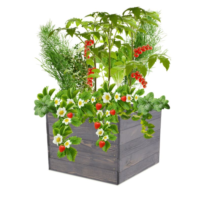 Warzywnik MODO24 grządka szara impregnacja 45x103x60 cm 1 szt.