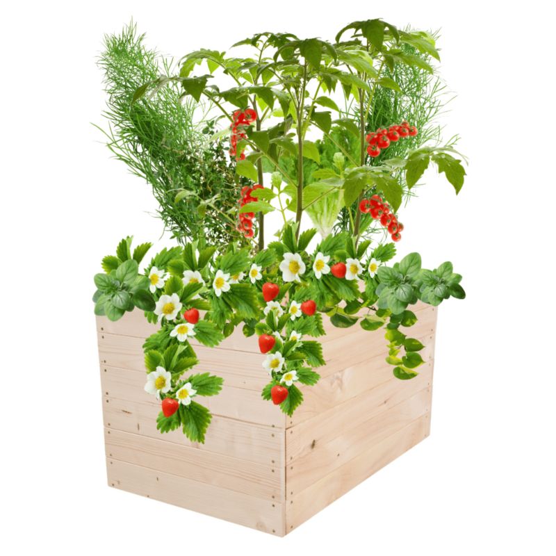 Warzywniak MODO24 grządka naturalne drewno 54x93x80 cm 1 szt.