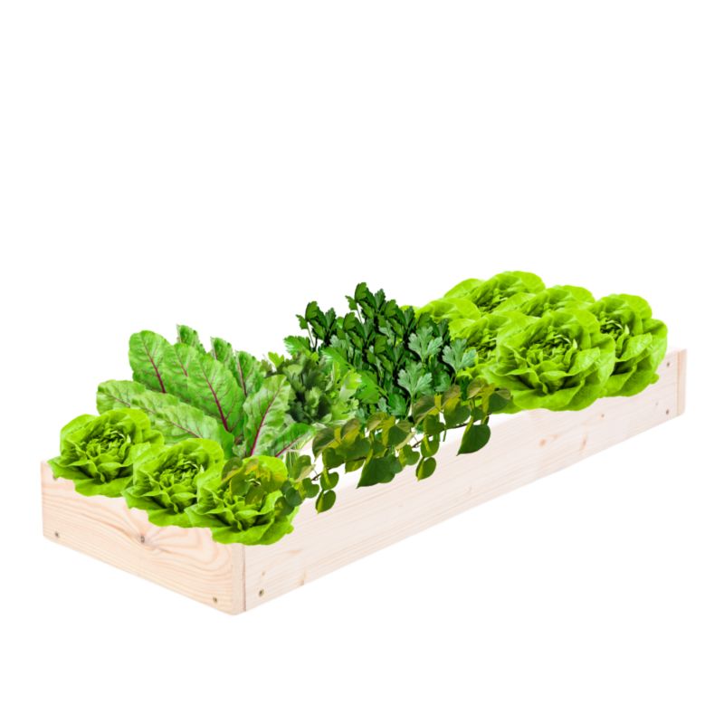 Skrzynia warzywna MODO24 regulowana donica 9x30x90 cm naturalne drewno 1 szt