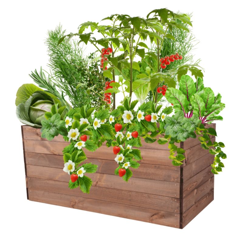 Grządka podwyższona MODO24 skrzynia brązowa impregnacja 54x120x80 cm 1 szt.