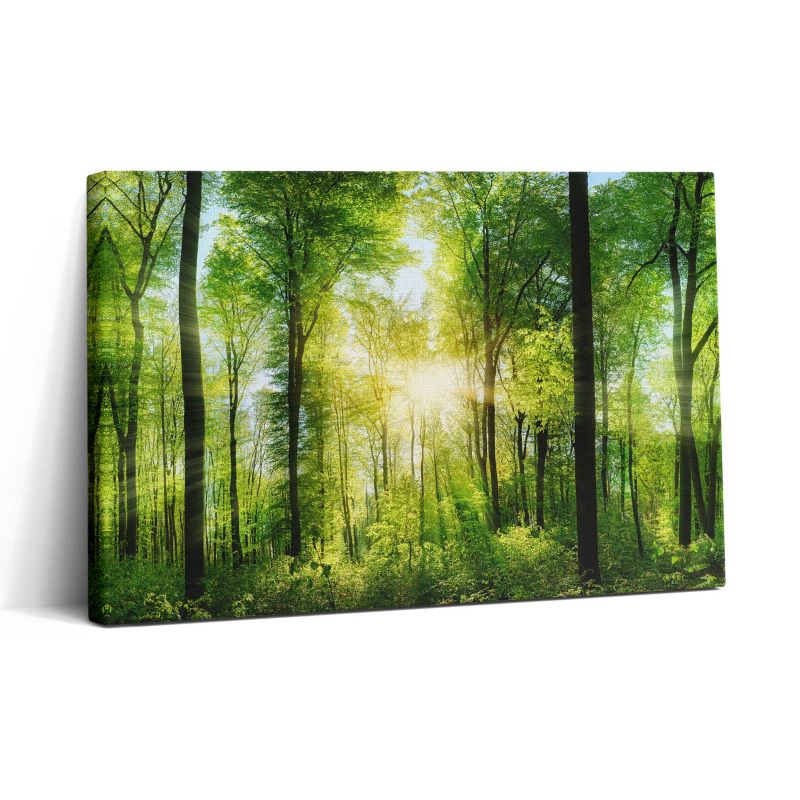 Obraz na płótnie Wallfluent 30x20 cm Natura las drzewa 1 szt.