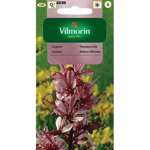 1 szt, Dyptam (Krzew Mojżesza) różowy Vilmorin - Nasiona: Ilość w opakowaniu: 0.2 g