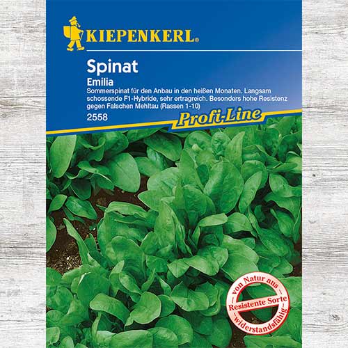 1 szt, Szpinak Emilia F1 - Nasiona: Ilość w opakowaniu: 1 opak