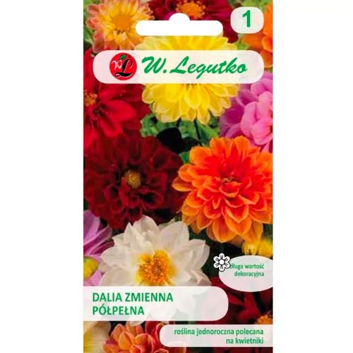 1 szt, Dalia zmienna karłowa Unwins, mix - Nasiona: Ilość w opakowaniu: 1 g