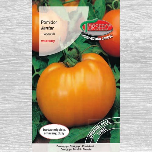 1 szt, Pomidor wysoki Jantar - Nasiona: Ilość w opakowaniu: 0.2 g