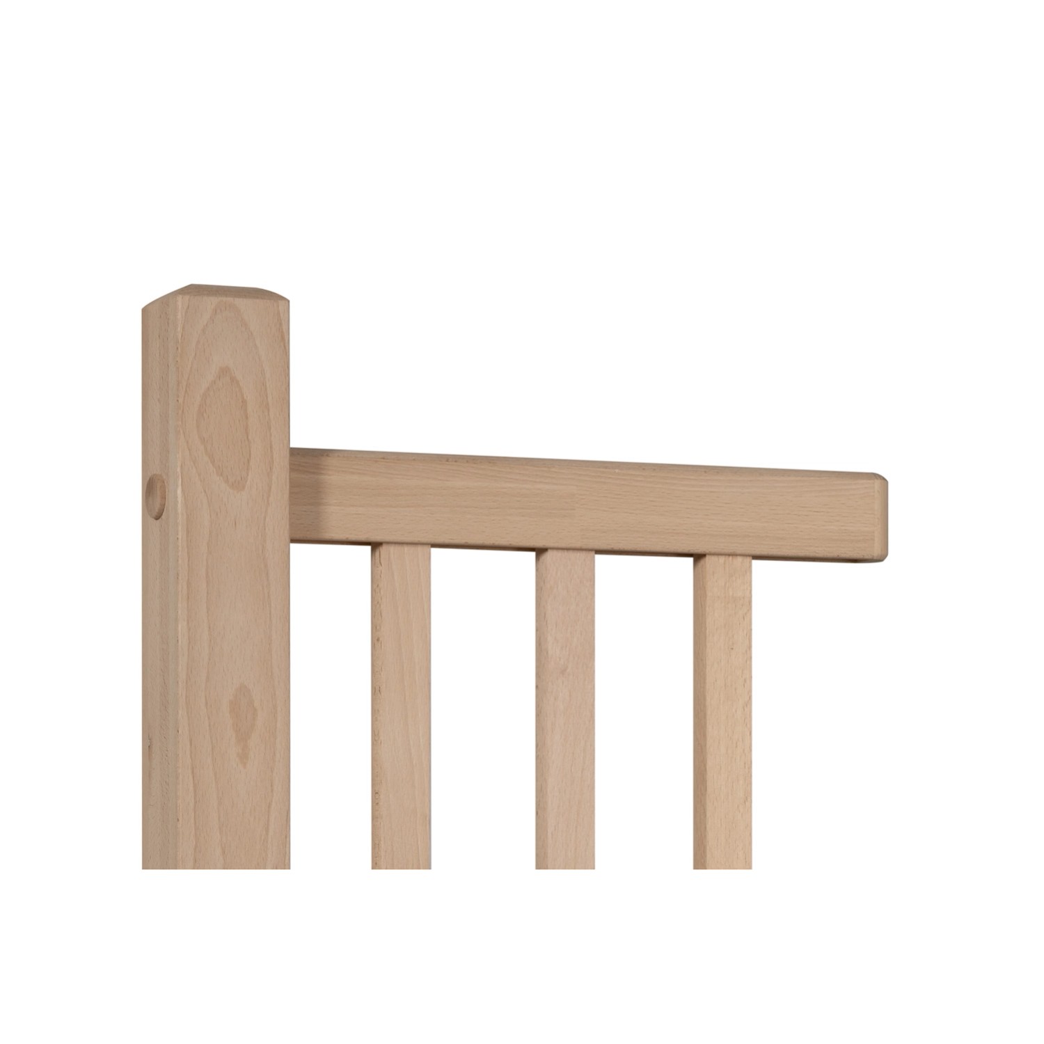 Kornik Kapsle maskujące buk - 20 mm