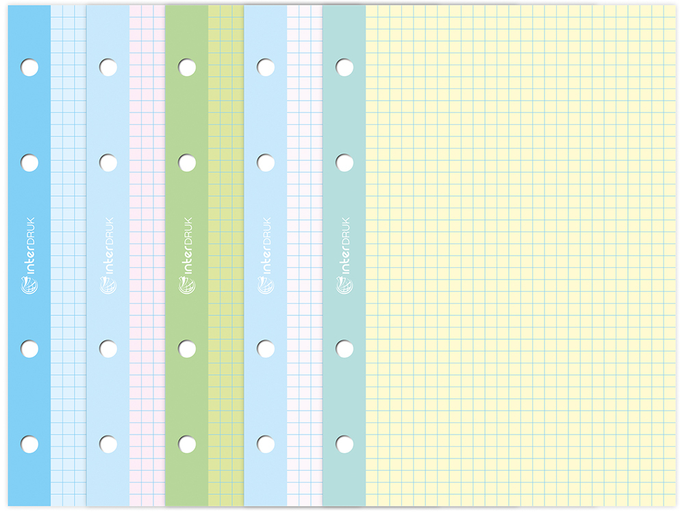 Wkład do segregatora w kratkę Interdruk, A4, 50 kartek, kolorowy margines, mix kolorów
