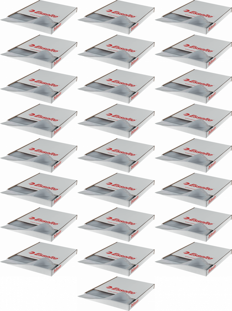 25x Koszulki groszkowe Esselte, otwierane od góry, A4, 43μm, 100 sztuk, transparentny