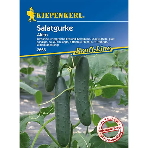 1 szt, Salatgurke Akito F1 - Samen: Ilość w opakowaniu: 1 Stück