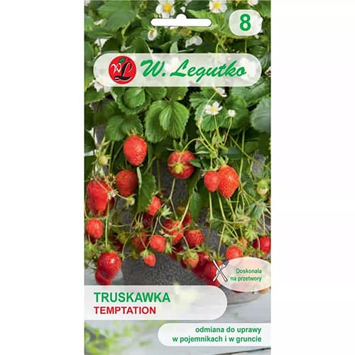 1 szt, Erdbeere Temptation - Samen: Ilość w opakowaniu: 0.03 g
