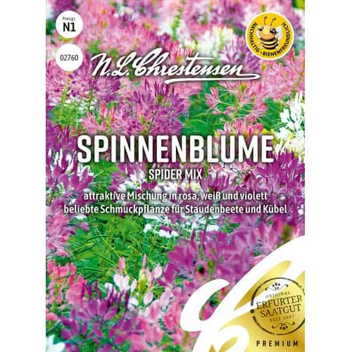 1 szt, Spinnenblume Spider Mix - Samen: Ilość w opakowaniu: 1 Stück