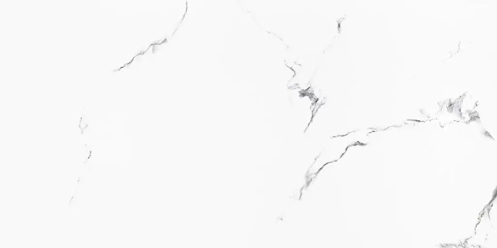 Ceramstic Di Carta płytka ścienno-podłogowa 120x60 cm biała-szara