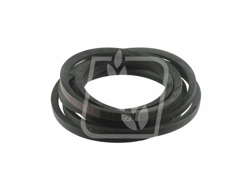 Pas 060304 22 x 6477