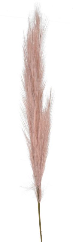 Trawa pampasowa Jumi ciemnoróżowa 80 cm