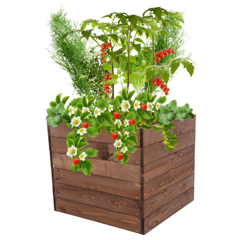 Grządka MODO24 warzywnik brązowa impregnacja 54x63x60 cm 1 szt.