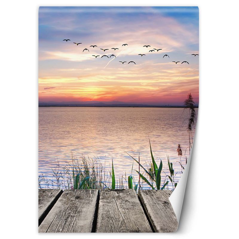 Fototapeta Feeby Ptaki nad morzem 200x280 1 szt