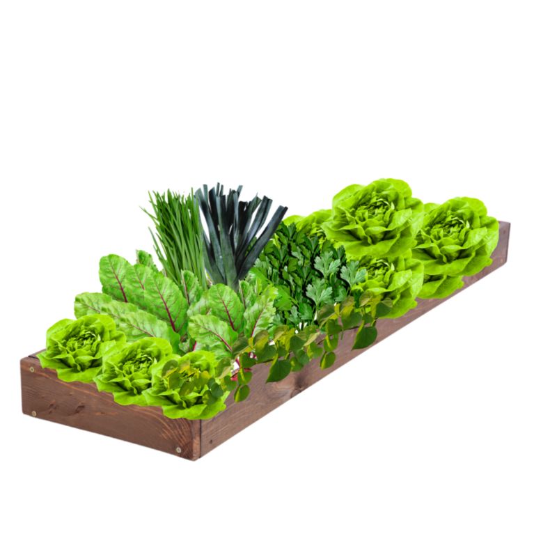 Skrzynia warzywna MODO24 regulowana donica 9x30x100 cm brązowe impregnowane drewno 1 szt