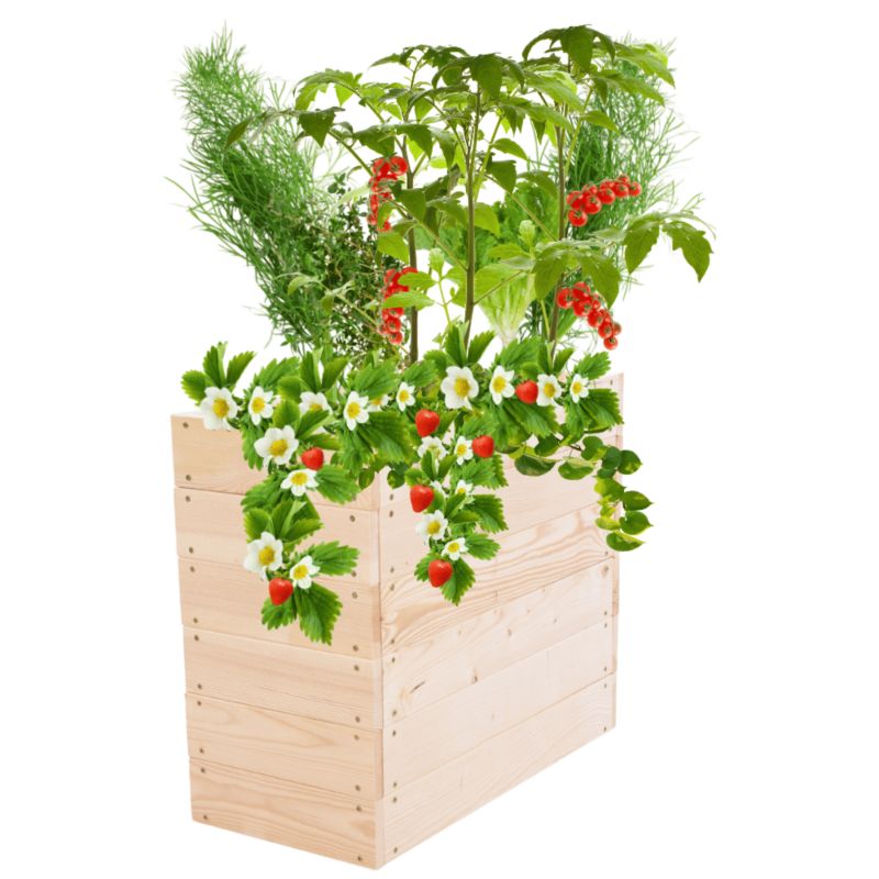 Skrzynia na warzywa MODO24 grządka naturalne drewno 54x63x30 cm 1 szt.