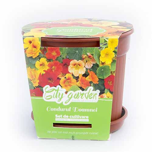 1 szt, Zestaw do uprawy - Nasturcja karłowa, mieszanka - Nasiona: Ilość w opakowaniu: 1 opak