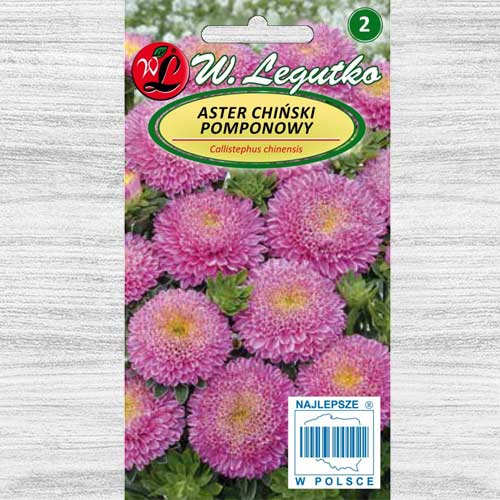 1 szt, Aster chiński pomponowy różowy - Nasiona: Ilość w opakowaniu: 1 g