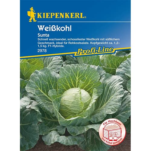 1 szt, Fehér káposzta Sunta F1 - Magok: Mod de ambalare: 1 db