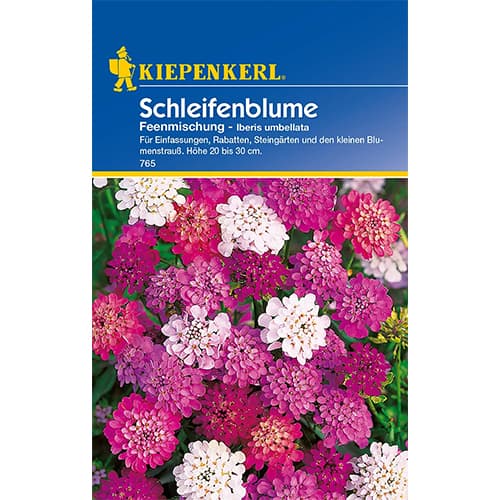 1 szt, Tatárvirág törpe, színkeverék - Magok: Mod de ambalare: 1 db