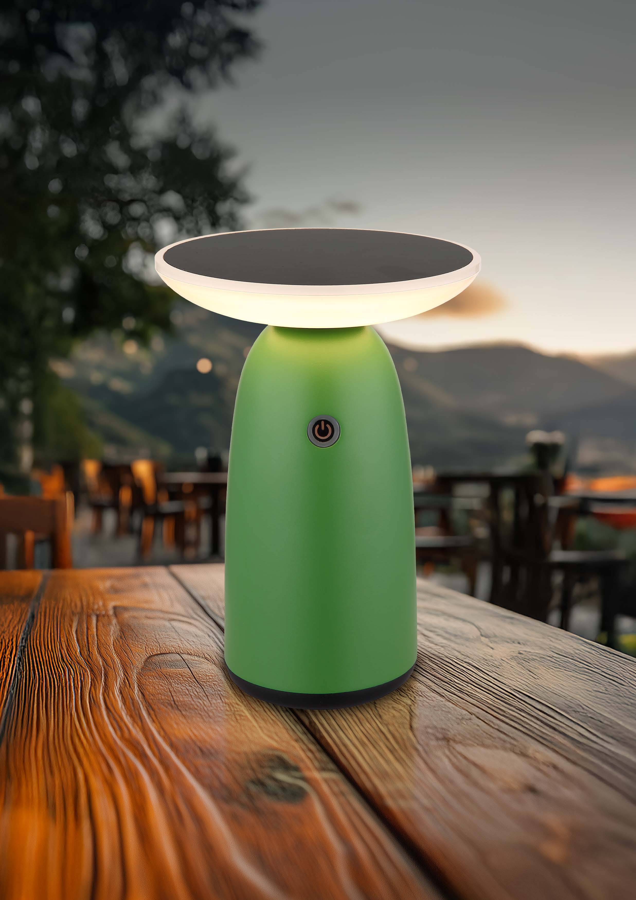 Globo Lighting Solar lampa stojąca 1x10 W zielony 36625G