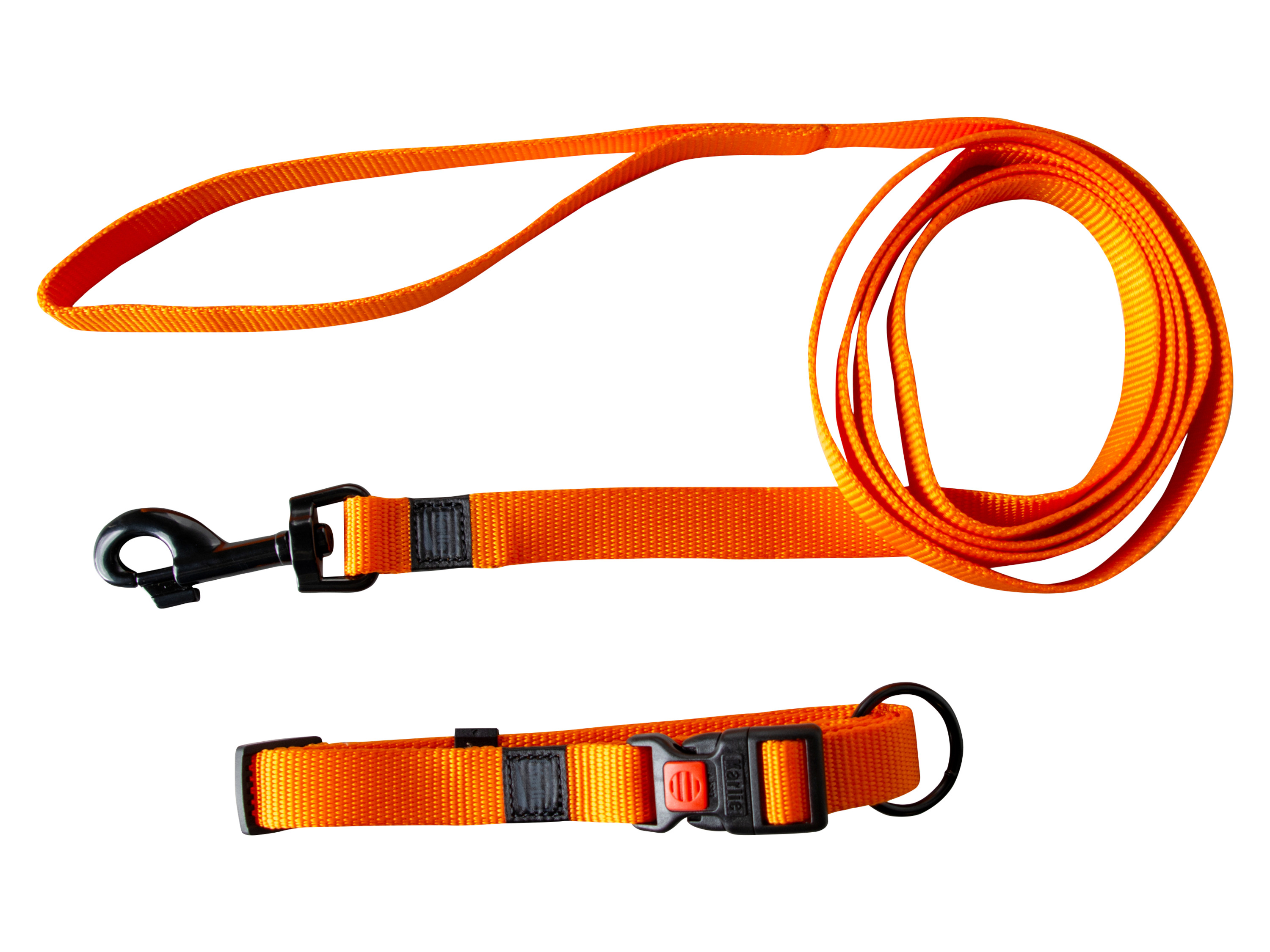 Karlie Smycz i obroża dla psa, ok. 200 cm Pomarańczowy