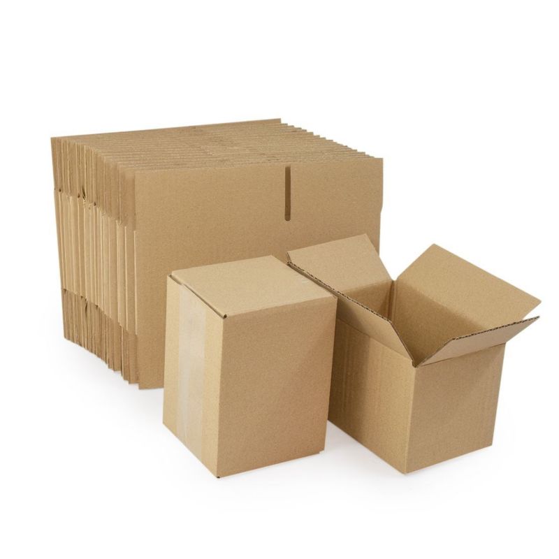 Kartony klapowe Neopak 200x100x100mm, 100 szt.