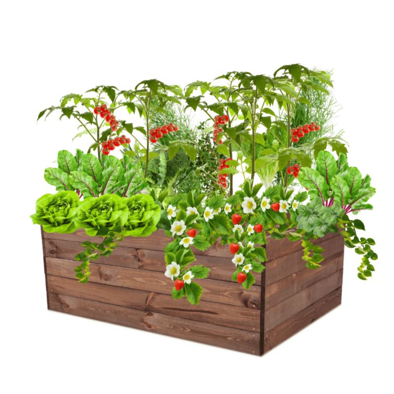 Grządka podwyższona MODO24 inspekt brązowa impregnacja 45x120x90 cm 1 szt.