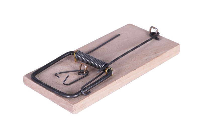 Myszołapka drewniana FSC