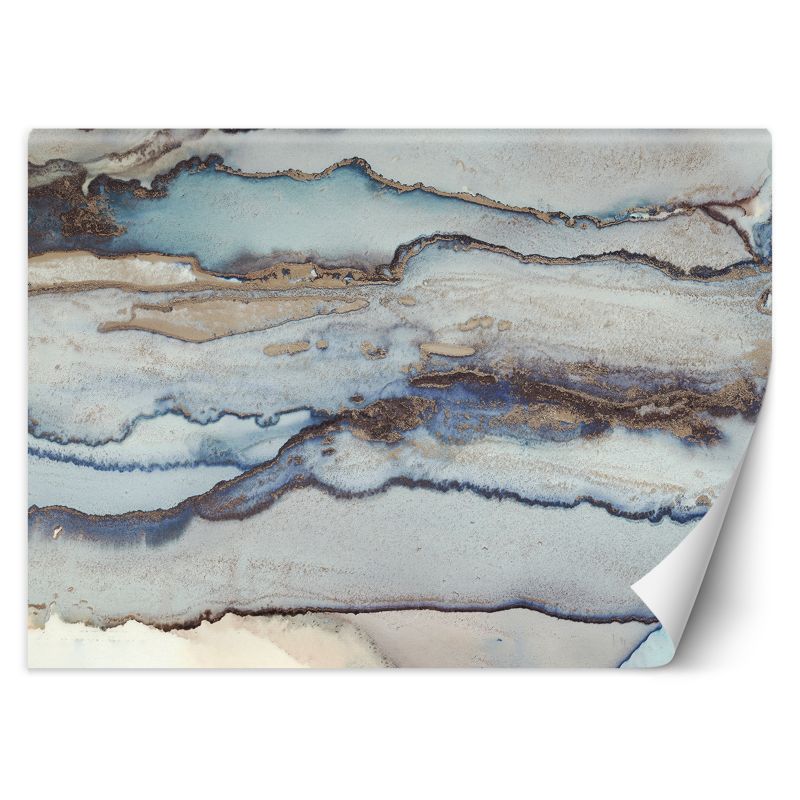 Fototapeta Feeby Abstrakcyjny tusz 254x184 1 szt