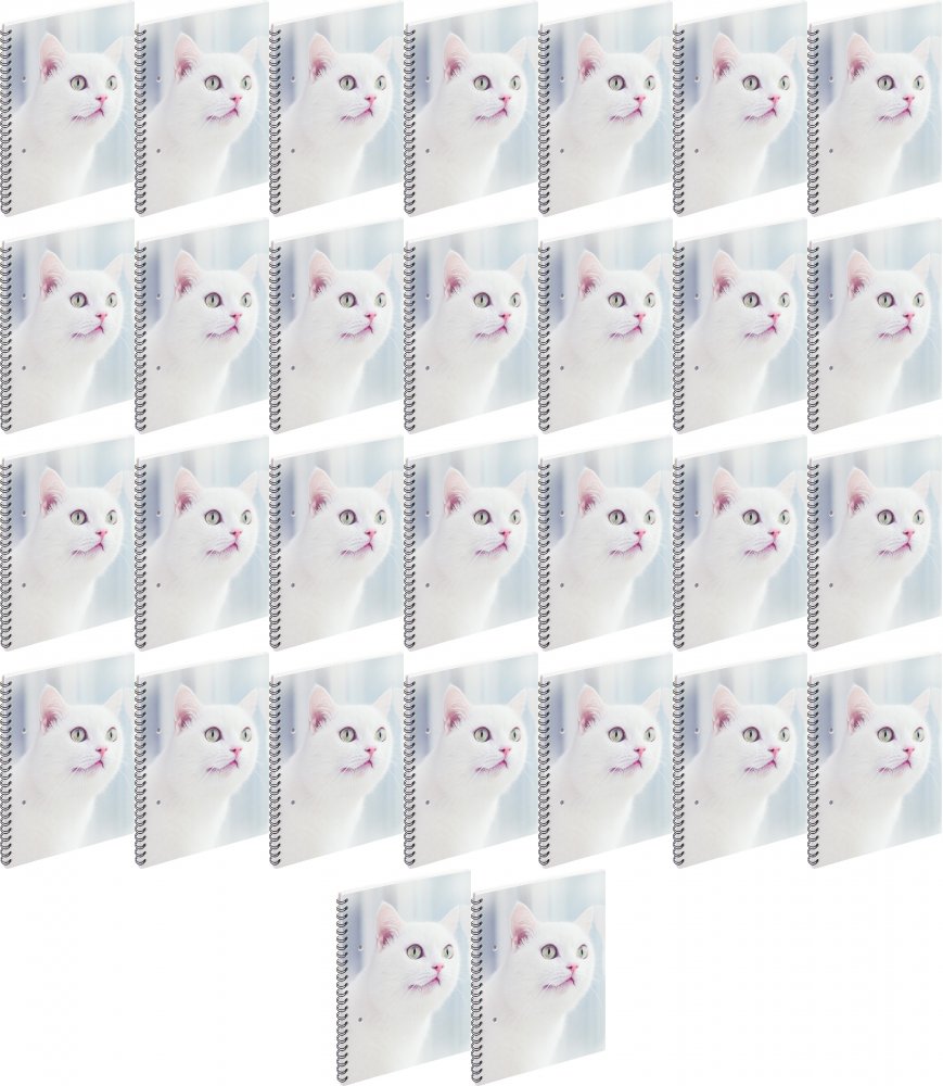 50x Kołonotatnik Grand A5M2, A5, w kratkę, 50 kartek, mix wzorów