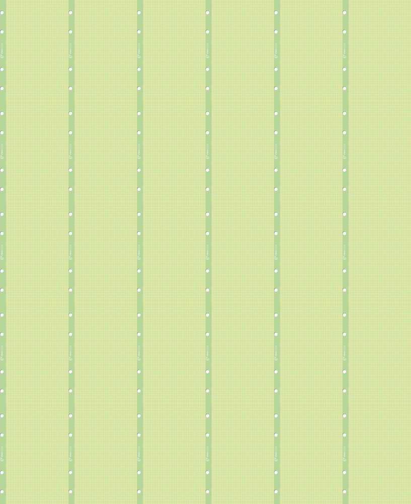 75x Wkład do segregatora w kratkę Interdruk, A4, 50 kartek, kolorowy margines, mix kolorów